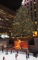PC150009_e.JPG.small.jpeg