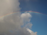 PC210013.JPG.small.jpeg
