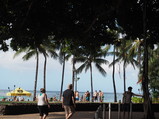 PC230021.JPG.small.jpeg