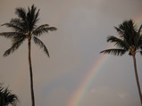 PC240028.JPG.small.jpeg