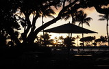 PC240038_e.JPG.small.jpeg