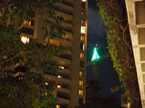 PC250045.JPG.small.jpeg