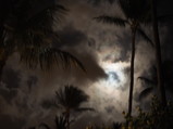 PC250046.JPG.small.jpeg