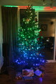 IMG_5710.JPG.small.jpeg