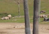 P1160011_e.JPG.small.jpeg