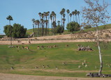 P1160023_e.JPG.small.jpeg