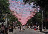 P8270037_e.JPG.small.jpeg