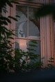 IMG_5763.JPG.small.jpeg