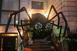 IMG_5765.JPG.small.jpeg