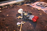 IMG_5771.JPG.small.jpeg