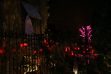 IMG_5788.JPG.small.jpeg