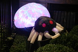 IMG_5791.JPG.small.jpeg