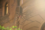 IMG_5794.JPG.small.jpeg