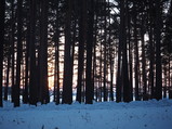 PC270097.JPG.small.jpeg