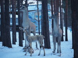 PC270100.JPG.small.jpeg