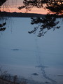 PC270103.JPG.small.jpeg