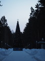 PC270106.JPG.small.jpeg