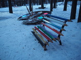 PC270110.JPG.small.jpeg
