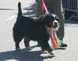 IMG_5929_e.JPG.small.jpeg