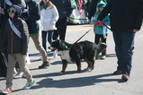 IMG_5931.JPG.small.jpeg