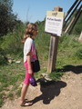 P4140010.JPG.small.jpeg