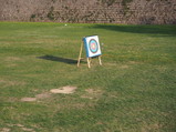 P4150047.JPG.small.jpeg