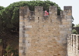 P4170121_e.JPG.small.jpeg