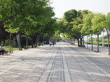 P4170155.JPG.small.jpeg