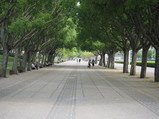 P4170166.JPG.small.jpeg