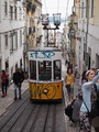 P4170175.JPG.small.jpeg