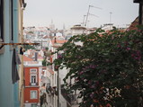 P4170177.JPG.small.jpeg