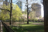 IMG_6018.JPG.small.jpeg