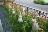 IMG_6019.JPG.small.jpeg