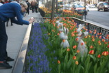 IMG_6021_e.JPG.small.jpeg