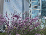 IMG_6033_e.JPG.small.jpeg