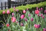 IMG_6059.JPG.small.jpeg