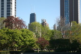 IMG_6079.JPG.small.jpeg