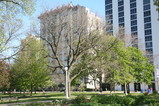 IMG_6092.JPG.small.jpeg