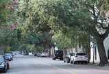 P8190018_e.JPG.small.jpeg