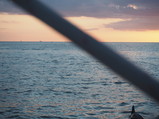 PA110032.JPG.small.jpeg