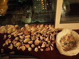 PA180025.JPG.small.jpeg