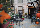 PA210037_e.JPG.small.jpeg