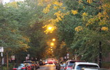 PA210075_e.JPG.small.jpeg
