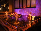PA210100.JPG.small.jpeg