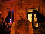 PA210109.JPG.small.jpeg
