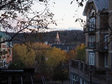 PA240008.JPG.small.jpeg