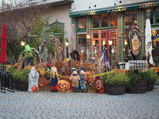PA240014.JPG.small.jpeg