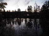 PA240015.JPG.small.jpeg
