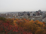 PA260033.JPG.small.jpeg