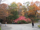 PA260038.JPG.small.jpeg